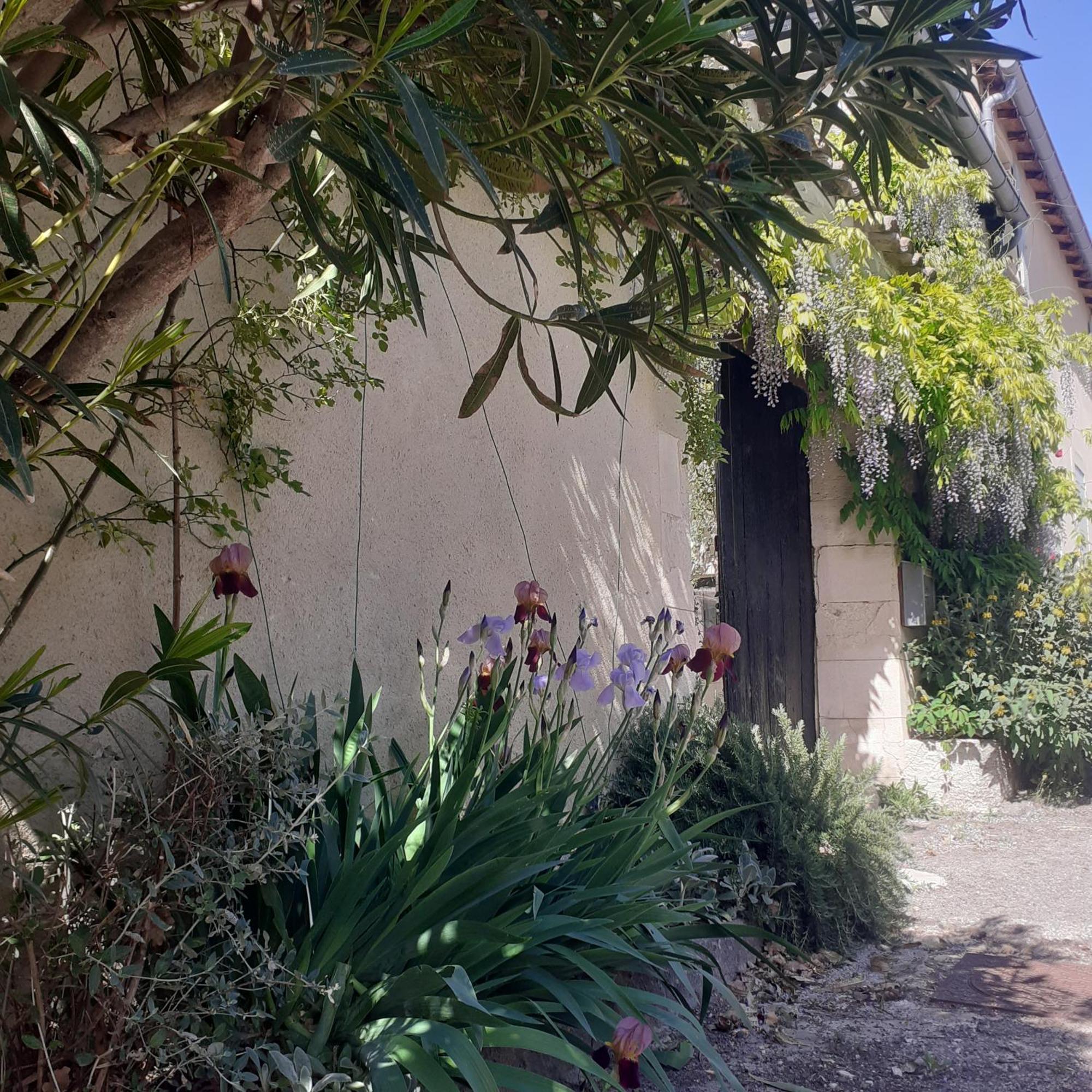 Les Gres Logis De Charme Villa Grignan Luaran gambar